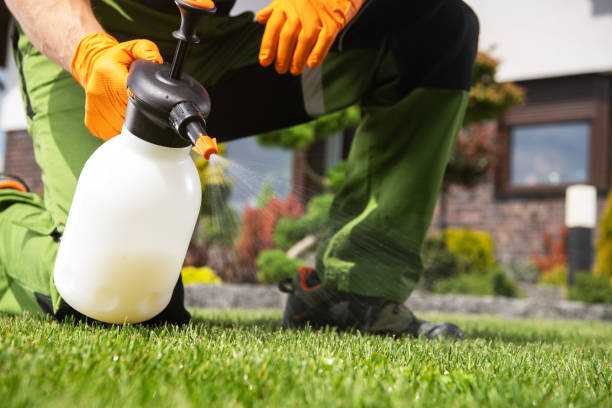 Best Termite Control Services  in El Dorado, AR