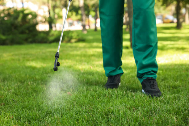  El Dorado, AR Pest Control Pros