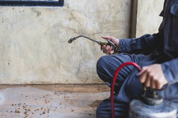 Best Pest Control Near Me  in El Dorado, AR